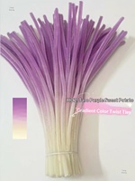 CHANGXU Craft NEW FUZZY Gradient Twist PIPE Twisted Bar Encrypted Handmade Flower Mainan Edukasi Anak Bahan DIY Tas Bahan