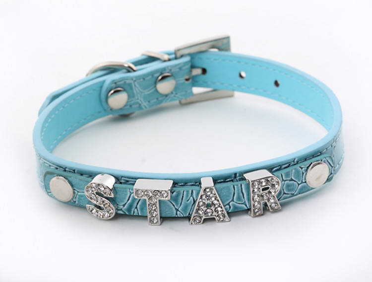 Perro mascota azul collares de bricolaje