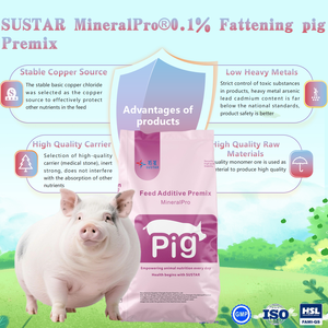 Tăng Cân Nhanh Nhà Sản Xuất Cung Cấp Trực Tiếp Premix Để Thúc Đẩy Sự Phát Triển Của Lợn Prestarter Phụ Gia Thức Ăn Cho Lợn Vỗ Béo - Product Image 2