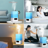 Humidificateur d'air ultrasonique 2,5 L, humidificateur à brume avec minuterie 2/4/8H, 3 vitesses, faible bruit, avec huiles essentielles et aromathérapie