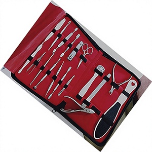 12pcs Professional Stainless Steel Manicure <b>Kit</b> 10-in-1 <b>Nail</b> Clipper Luxurious Travel Case Accessories for Premium <b>Nail</b> Care - Product Image 1