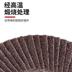 Disques à lamelles 100 mm, grain 1000, toile abrasive, roue de polissage pour bois et acier inoxydable - Product Image 1