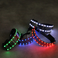 Gafas de Sol LED Iluminadas para Bares, Festivales de Música, Bailes Transfronterizos y Fiestas, con Alta Luminosidad