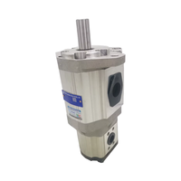 Pompe à huile hydraulique HCHC Hefei Changyuan CBW-F310-ALP, pompe à engrenages 20MPa, rendement volumétrique de 90%, 1500-2500 tr/min, garantie 1 an, OEM