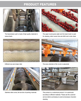 Automatische multifunctionele aardappel- en groenteschilmachine voor papaja, zoete aardappel en wortel, inclusief groentewasmachine