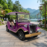 Voiture rétro à toit ouvert homologuée pour la route, 6 places, avec cadre anti-roulis renforcé, véhicule de tourisme panoramique côtier
