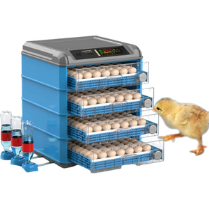 PP <b>Incubator</b> With Chick Roller Fully Automatic 500 Capacity for Commercial Use Agricultural Hatching Equipment - Product Image 6
