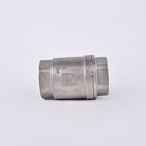 RTS Thép Không Gỉ 201 304 NPT BSP Một Chiều Không Trở Lại H12 Kiểm Tra Van Chủ Đề Mùa Xuân Tải Dọc Kiểm Tra Van - Product Image 2