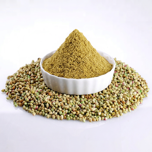 Poudre de coriandre 100 % pure fraîchement récoltée d'Inde, épice culinaire de qualité supérieure avec une durée de conservation de 24 mois pour le commerce mondial - Product Image 1