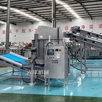 DY Continue Ontwateringscentrifuge Dehydratiemachine Volledig Automatische Centrifugale Groenteontwateringsmachine