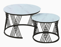 Ensemble de tables basses modernes en métal pour salon, avec combinaison de tailles et table d'appoint