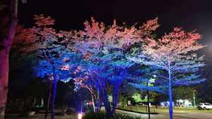 Luces decorativas para árboles con clasificación IP65 para exteriores, ideales para parques, festivales y jardines. - Product Image 1