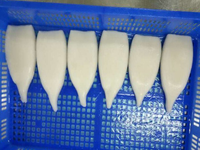 Illex Frozen Calamars Calmar Tubes U5 U7 U10 Style Frais Emballage En Vrac Nature Caractéristique Produit En Gros