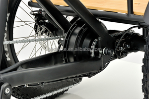 Vélo <span class=keywords><strong>cargo</strong></span> électrique à 3 roues avec batterie au lithium de 48V, capacité de 15Ah, cadre en aluminium, système de freinage à disque, <span class=keywords><strong>moteur</strong></span> de moyeu arrière - Product Image 4