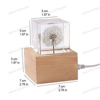 Lampe de nuit en résine de pissenlit stabilisé en gros, lampe décorative LED tactile rechargeable par USB pour souvenir et cadeau