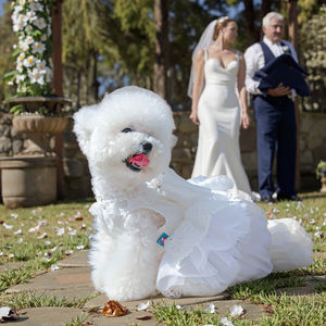 ONESTEP حفل زفاف كلاسيكي أبيض وصديقولا للكلاب الصغيرة موسم الربيع/الصيف مصنوع من البوليستر - Product Image 1