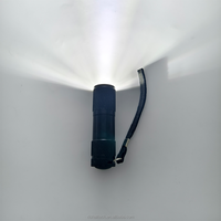 Cadeau promotionnel Multi Couleurs pas cher 3 AAA pile sèche petite touche lumière minière porte-clés 9 led torche lampe de poche pour la chasse