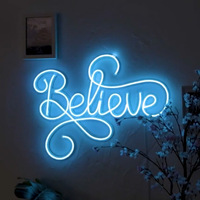 Meilleures ventes, nouveauté, révélation de sexe, fournitures de fête personnalisées au néon, panneaux muraux décoratifs en acrylique, néons à LED, enseignes personnalisées