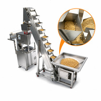 Rode Dadel RVS Emmerliftvoeder met hellende emmers voor droog fruit weeg- en verpakkingsmachinelijnen