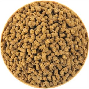 2024 Chiot Biscuit Moules Teddy Dog Cookie Moule Gâteau Décor Outil Cookie Cutters - Product Image 1