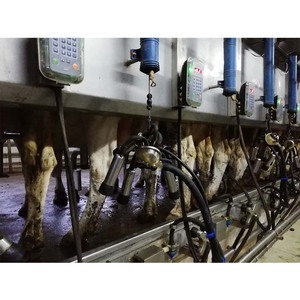 전기 계량기 우유 홀 - Product Image 3