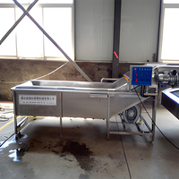 Volautomatische Blancheermachine Blancheren En Koelen Machine Palmkever Larven Blancheren Machine