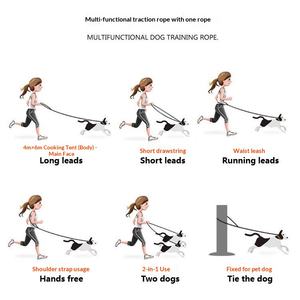 Correa de Algodón Trenzada con Degradado Arcoíris en Varios Colores para Perros Medianos/Grandes, Correa de Tracción para Correr - Product Image 5