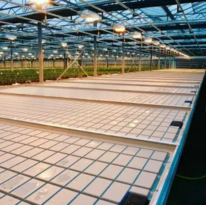 Sel ve drenaj tepsisi hydroponics 2x4 5x5 büyütme tepsileri