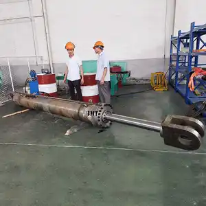 Dubbelwerkende Hydraulische Cilinder Professionele Fabrikant