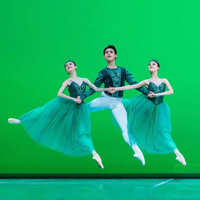 Jupe longue en gaze émeraude pour enfants, costume de danse moelleux pour spectacle, tenue professionnelle de performance
