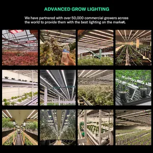 Flexstar Fabricante Diodos Samsung para Agricultura Interior ou Vertical Personalizados 645W 720W LED Cresce Luz Espectro Completo