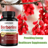 Capsules de berbérine, curcuma et cannelle OEM ODM sous marque privée – Soutien quotidien au bien-être, défense immunitaire adulte, et contrôle du taux de sucre sanguin