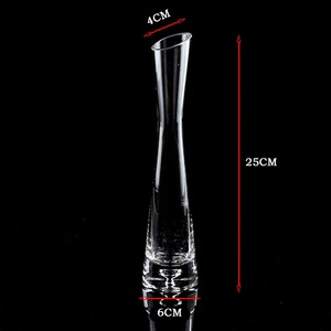 Bán Sỉ Bình Hoa Thủy Tinh Trong Suốt Trang Trí Bàn Bình Vành Nghiêng Trang Trí Nhà Cửa Bằng Thủy Tinh - Product Image 5