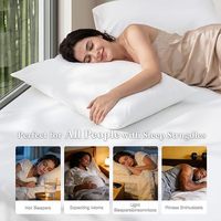 Taie d'oreiller 100 % fibre de bambou luxueuse, douce et respirante, anti-transpiration, fraîche et antibactérienne, drap-housse naturel pour la maison