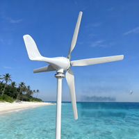 Générateur éolien horizontal à aimant permanent 1000W 2000W 3000W 12V 24V pour l'électricité résidentielle