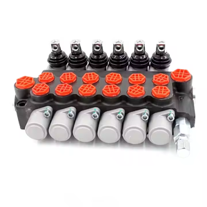 Soluciones de válvulas hidráulicas personalizadas manuales de la P40-G12-G38 | Modificaciones de válvulas de control direccional Monobloque de 6 secciones 250 Bar - Product Image 1