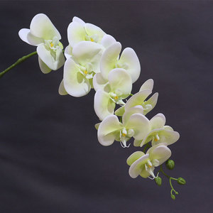 <span class=keywords><strong>Orchidea</strong></span> Phalaenopsis <span class=keywords><strong>Artificiale</strong></span> Grande 90cm con 9 Fiori, Effetto Realistico, per Decorazioni Casa, Matrimoni e Palcoscenici - Product Image 3