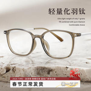 Montures de lunettes carrées Danyang 86141 anti-lumière bleue, monture complète pour femmes, verres PC, monture légère en titane - Product Image 4