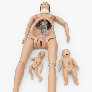 Modèle avancé d'accouchement pour la formation aux premiers secours, ensemble d'instruments de maternité et d'accouchement pour la science médicale - Product Image 2
