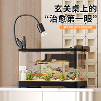 Aquarium cylindrique moderne Bonnie en plastique transparent 1L, compact, pour bureau, paysage aquatique, circulation d'eau, usage domestique, salle à manger