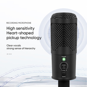 Nouveauté : Microphone à condensateur USB professionnel A12 en métal pour enregistrement, streaming, diffusion et podcasting - Product Image 3