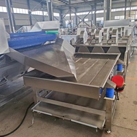 Automatische Bevroren Plantaardige Iqf Verwerkingslijn/Fruit En Groente Waslijn