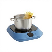 Cuisinière à induction mini à un brûleur, 1300W, électrique, en plastique, avec commande tactile numérique, multifonction, pour usage domestique, prix de gros