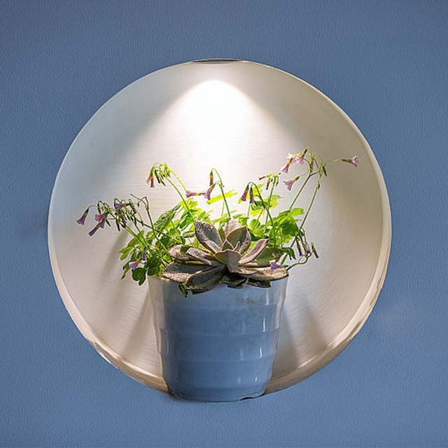 Recessed LED Grow Downlight 11-13 Umol/s CRI98 LED Grow Ceiling Light LED Light Grow Spotlight for Interiors Flowering Plants