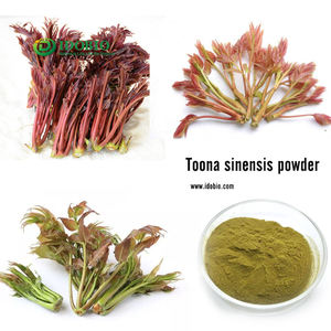 Poudre de <span class=keywords><strong>toona</strong></span> <span class=keywords><strong>sinensis</strong></span> à saveur de bœuf - Product Image 3