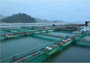 Cage piscicole circulaire HDPE anti-tempête PE piège d'aquaculture en haute mer pour truite - Product Image 6