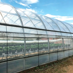 <span class=keywords><strong>Film</strong></span> plastique transparent en PE pour serre agricole, anti-condensation, stabilisé aux UV, pour la culture des cultures agricoles - Product Image 2