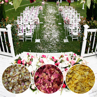 Confettis de pétales de rose naturels biodégradables 500G pour mariage, anniversaire et décoration DIY à domicile