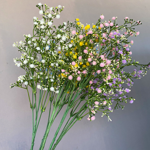 Pianta Decorativa da Giardino Babysbreath a 150 Steli per Rami Alti a Prezzo Competitivo - Product Image 3