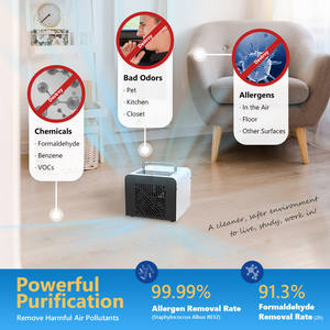 Saison de la <span class=keywords><strong>grippe</strong></span> traitement de l'air à domicile générateur d'ozone O3 Machine OEM 5g 10g 20g 40g intérieur et voiture Auto Generadores De Ozono - Product Image 4